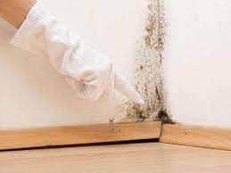 Best Mold Removal for HVAC Installations  in Fairview, NJ